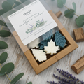 Eucalyptus Enchant – Wax Melts Aromáticos